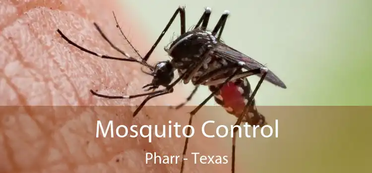 Mosquito Control Pharr - Texas