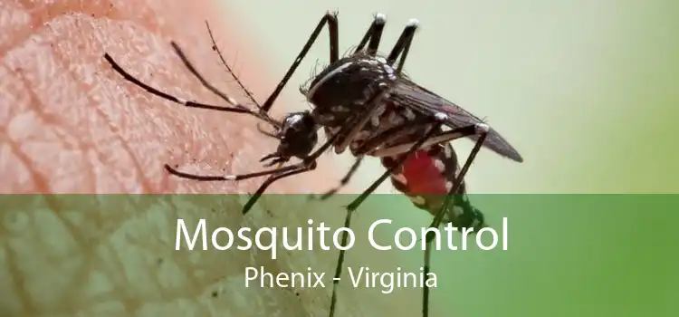 Mosquito Control Phenix - Virginia