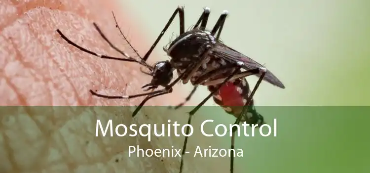 Mosquito Control Phoenix - Arizona
