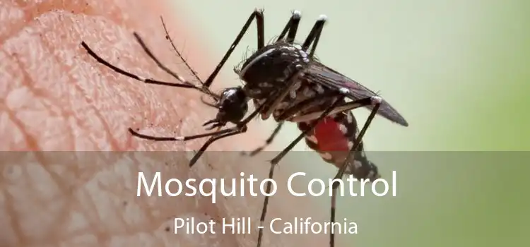 Mosquito Control Pilot Hill - California