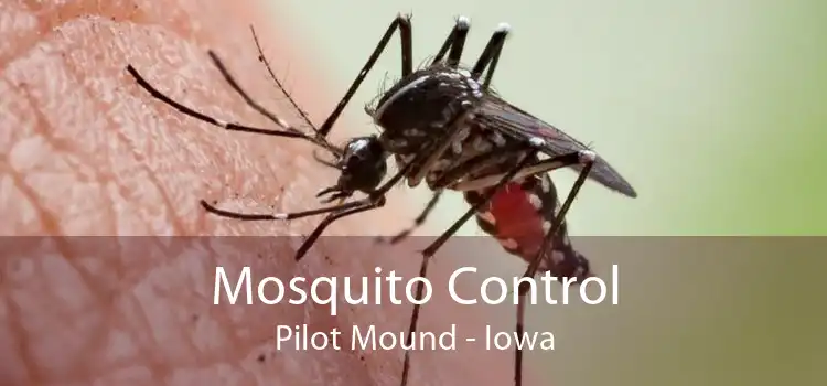 Mosquito Control Pilot Mound - Iowa