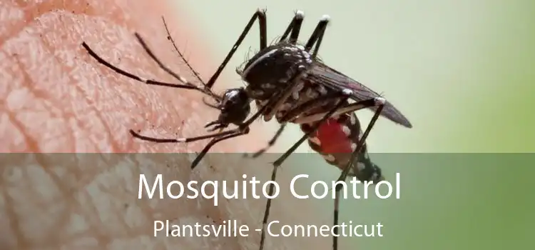 Mosquito Control Plantsville - Connecticut
