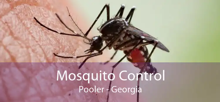 Mosquito Control Pooler - Georgia