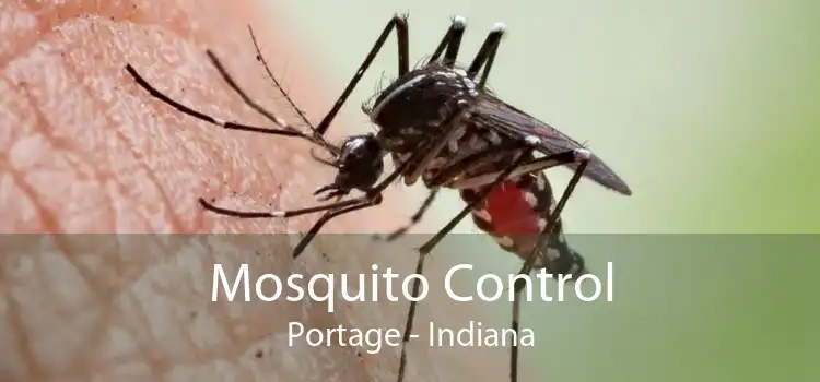 Mosquito Control Portage - Indiana