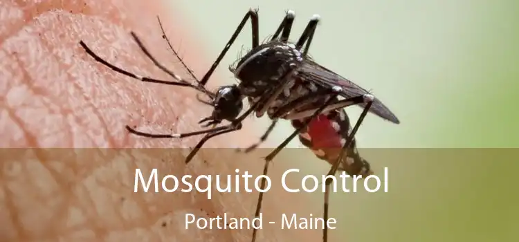 Mosquito Control Portland - Maine