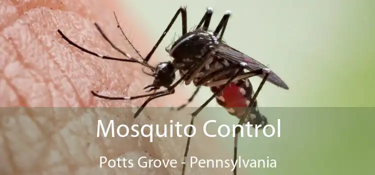 Mosquito Control Potts Grove - Pennsylvania