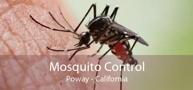 Mosquito Control Poway - California