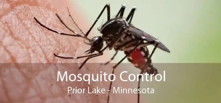Mosquito Control Prior Lake - Minnesota
