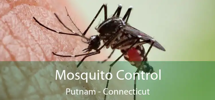 Mosquito Control Putnam - Connecticut