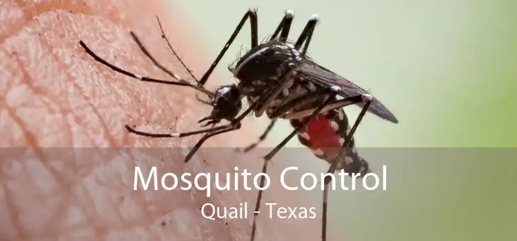 Mosquito Control Quail - Texas
