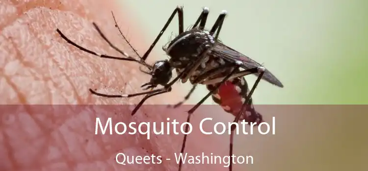 Mosquito Control Queets - Washington