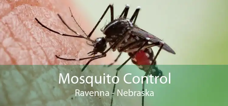 Mosquito Control Ravenna - Nebraska