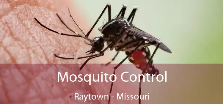 Mosquito Control Raytown - Missouri