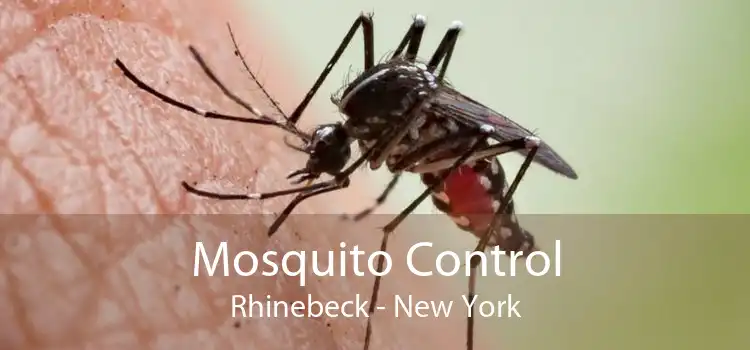 Mosquito Control Rhinebeck - New York