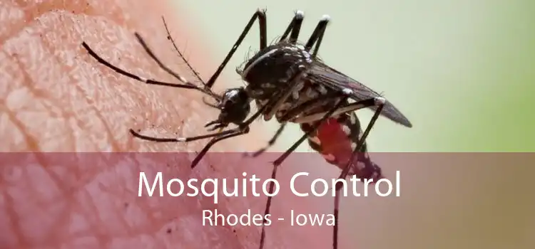 Mosquito Control Rhodes - Iowa