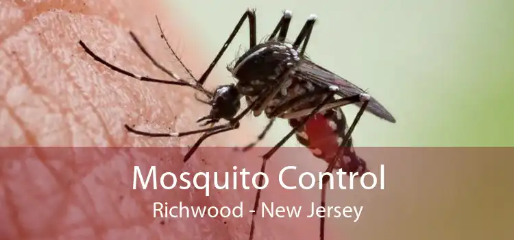 Mosquito Control Richwood - New Jersey