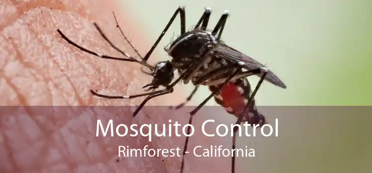 Mosquito Control Rimforest - California