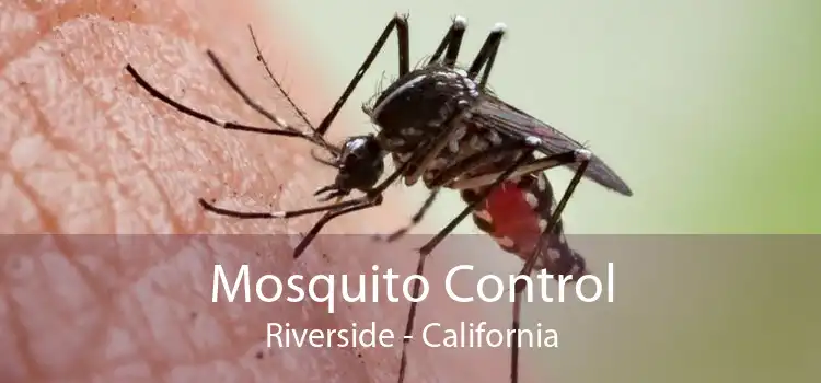 Mosquito Control Riverside - California