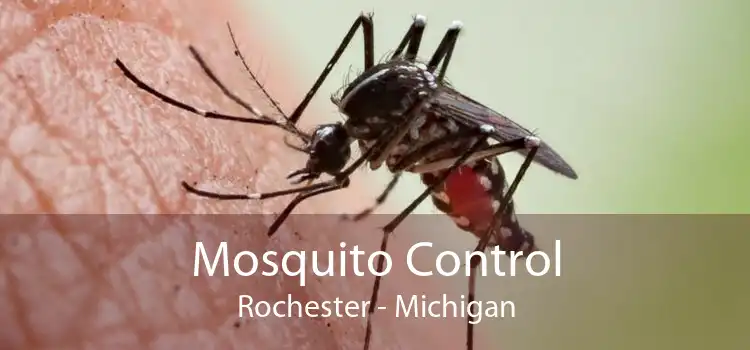 Mosquito Control Rochester - Michigan
