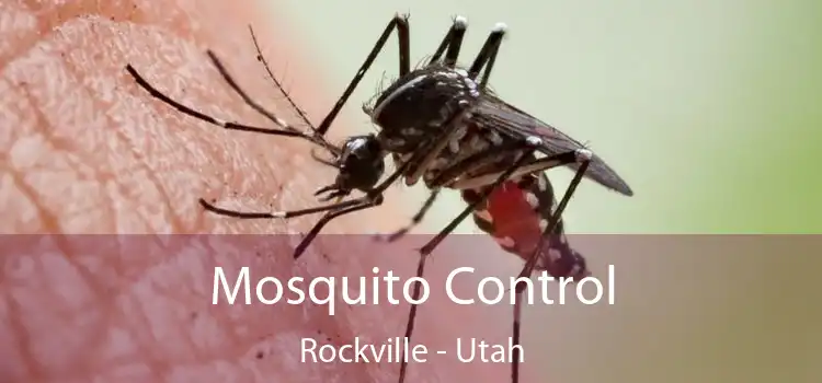 Mosquito Control Rockville - Utah