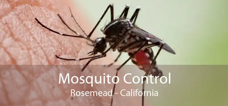 Mosquito Control Rosemead - California