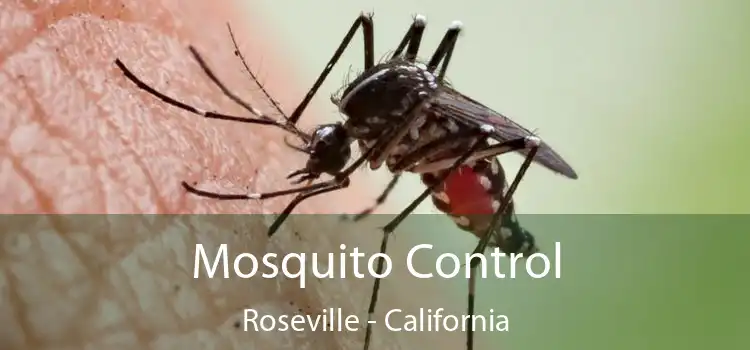 Mosquito Control Roseville - California