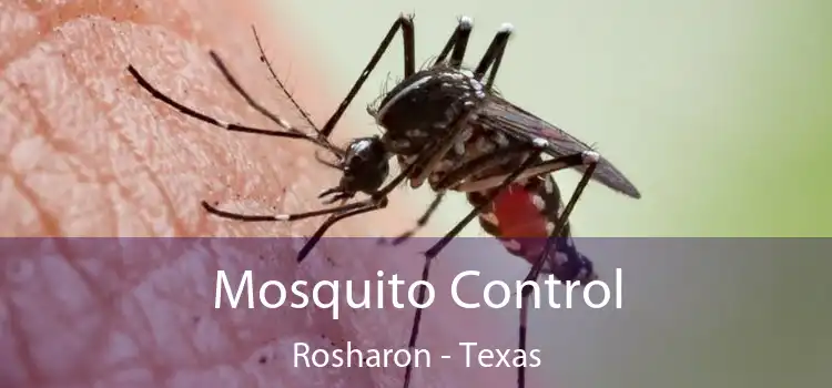 Mosquito Control Rosharon - Texas