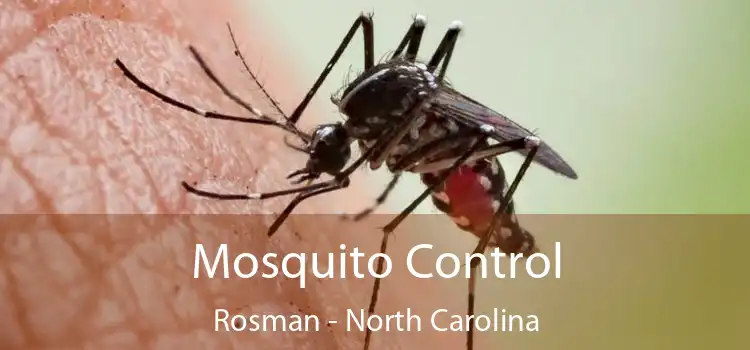 Mosquito Control Rosman - North Carolina