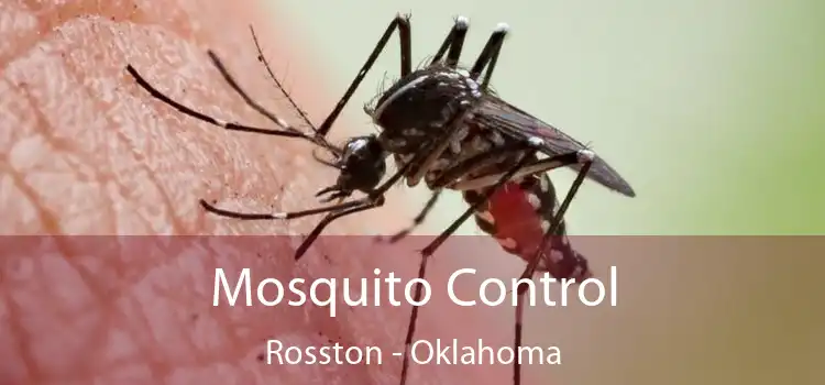 Mosquito Control Rosston - Oklahoma