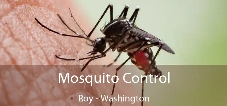 Mosquito Control Roy - Washington