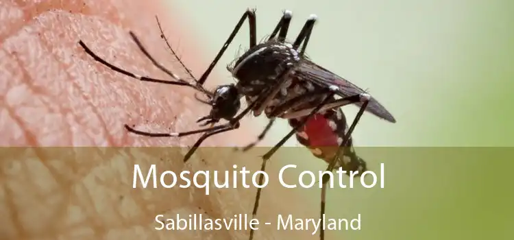 Mosquito Control Sabillasville - Maryland
