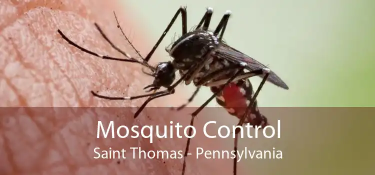 Mosquito Control Saint Thomas - Pennsylvania