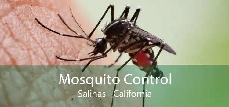 Mosquito Control Salinas - California