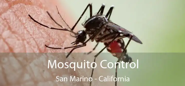 Mosquito Control San Marino - California