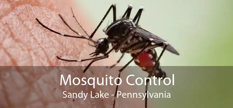 Mosquito Control Sandy Lake - Pennsylvania