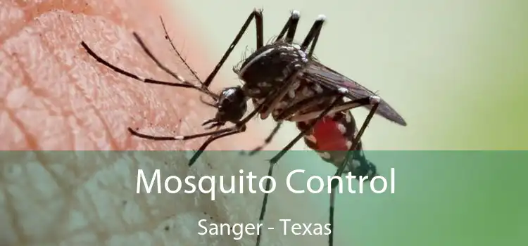 Mosquito Control Sanger - Texas