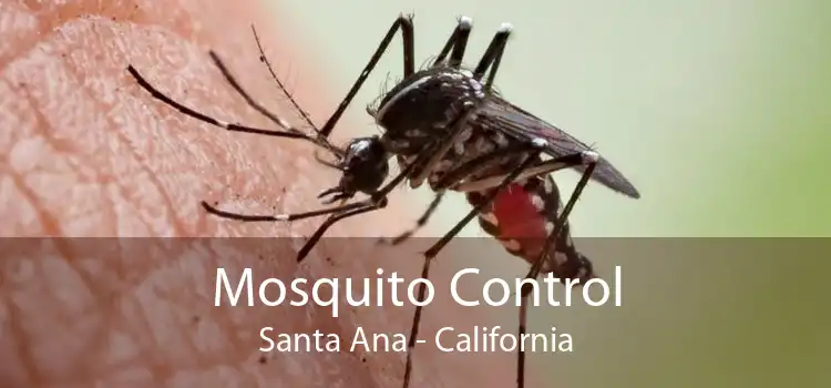 Mosquito Control Santa Ana - California