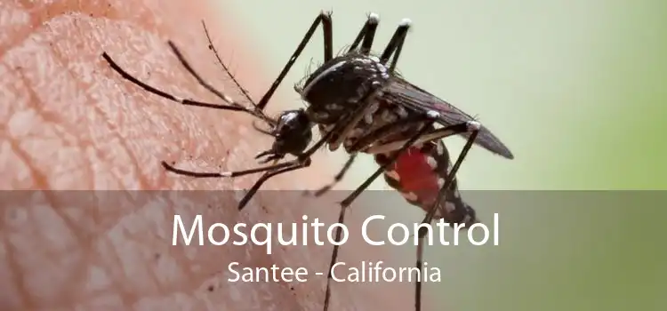 Mosquito Control Santee - California