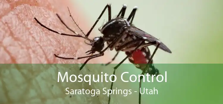 Mosquito Control Saratoga Springs - Utah