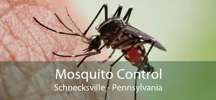Mosquito Control Schnecksville - Pennsylvania