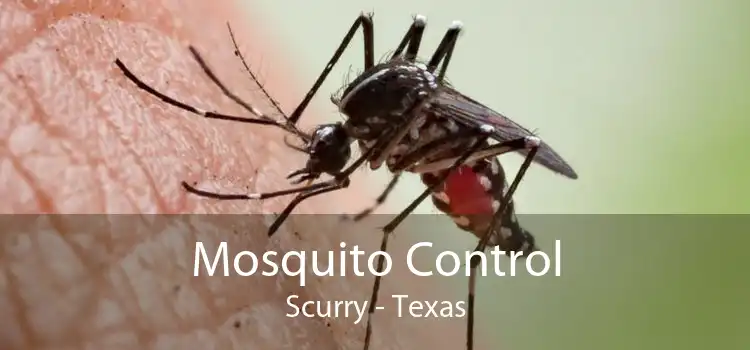 Mosquito Control Scurry - Texas