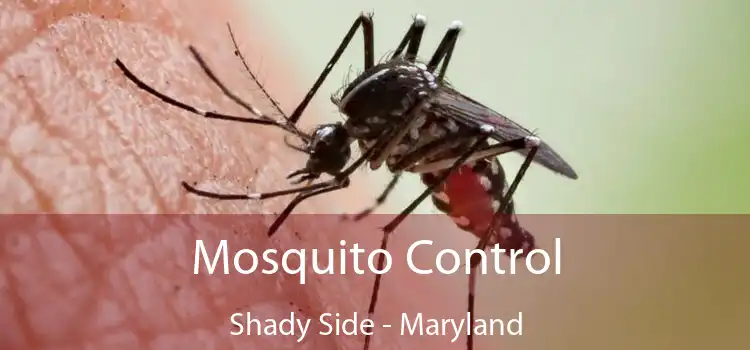 Mosquito Control Shady Side - Maryland