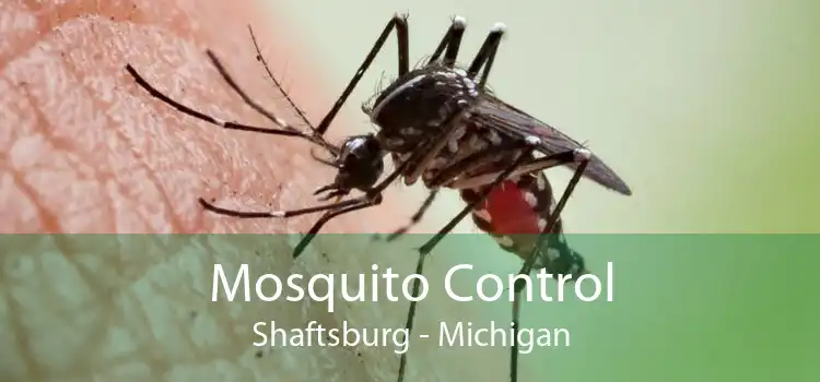 Mosquito Control Shaftsburg - Michigan