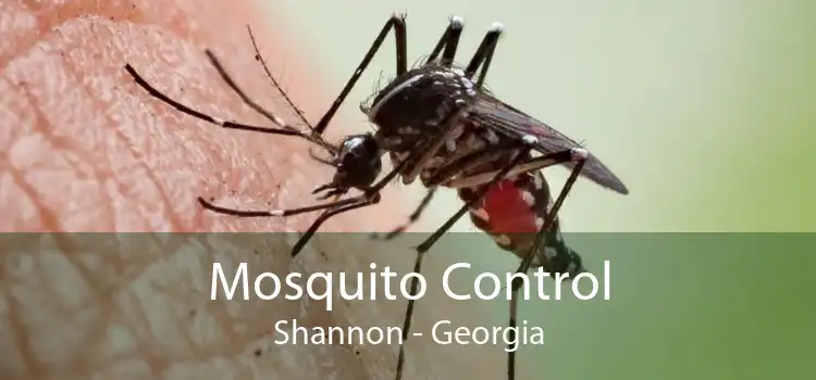 Mosquito Control Shannon - Georgia