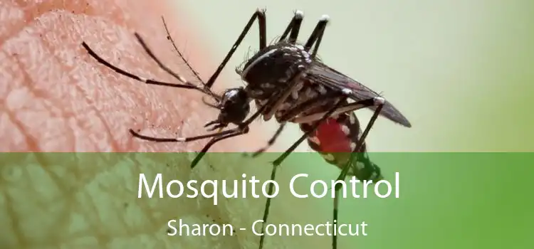 Mosquito Control Sharon - Connecticut