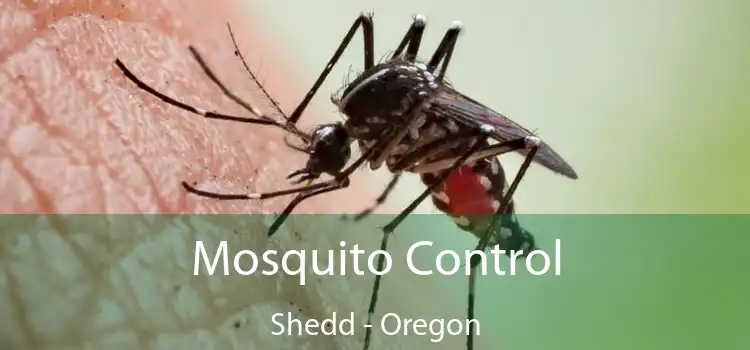 Mosquito Control Shedd - Oregon