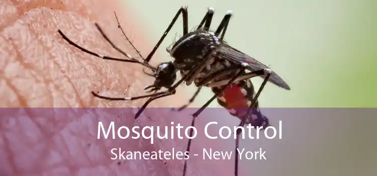 Mosquito Control Skaneateles - New York