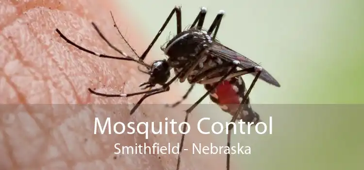 Mosquito Control Smithfield - Nebraska