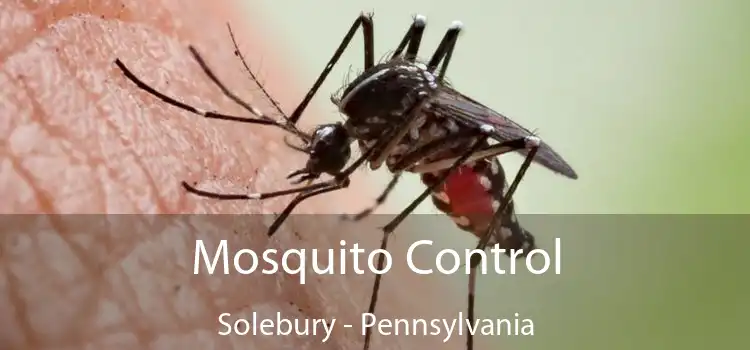 Mosquito Control Solebury - Pennsylvania