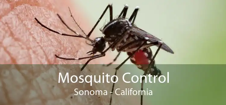 Mosquito Control Sonoma - California